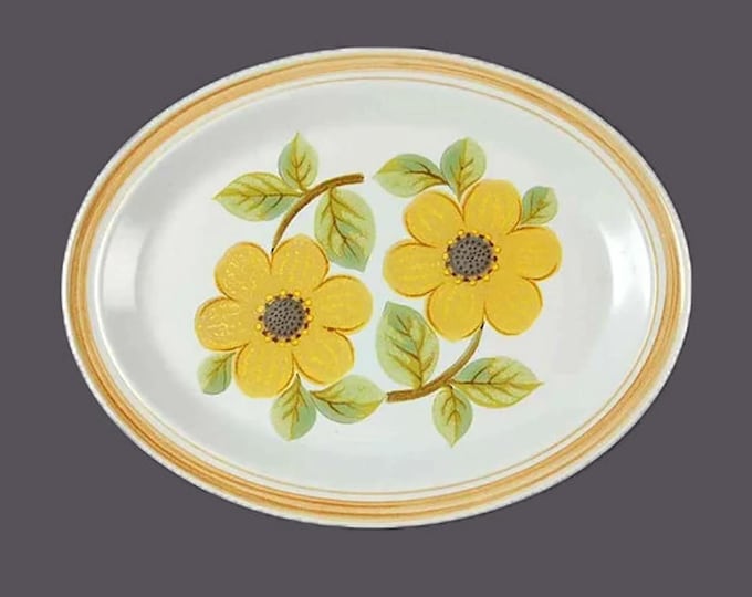 Royal Doulton Summer Days LS1002 oval stoneware platter. Lambethware stoneware made in England.