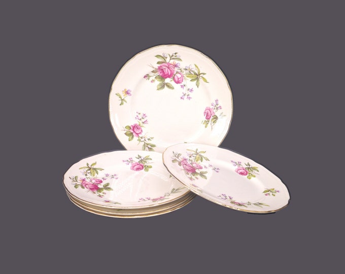 Five Ridgway Pottery Summer Glory dessert plates made in England.