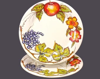 Vintage Pier 1 New Harvest dinner plates made in Italy. 2 plates.
