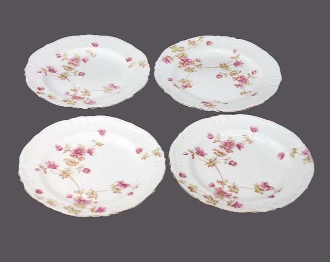 Four antique Victorian-era Adderley Spray 30 bone china dessert plates made in England.