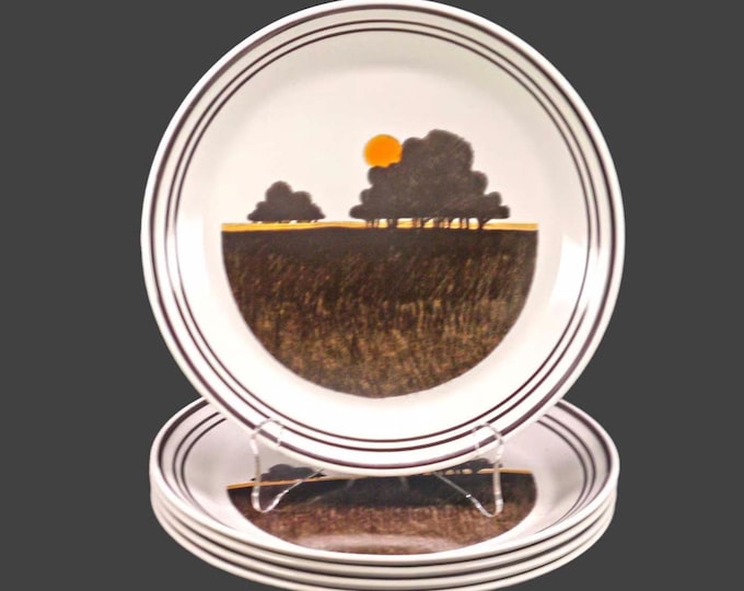 Vintage Royal Doulton Prairie Luncheon Plate: 1970s Lambethware Stoneware, England