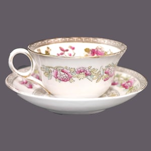 Royal Stafford Indian Tree Bone China Cup and Saucer Set
