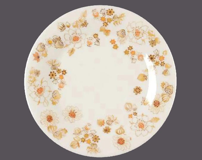Royal Doulton Sundance TC1087 large dinner plate made in England.
