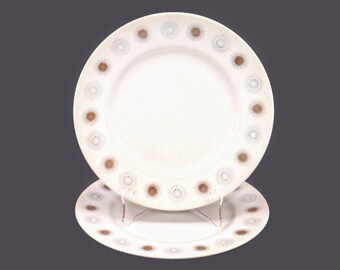 Pair of Myott Constellation L851 atomic-age dinner plates made in England. Flaws (see below).