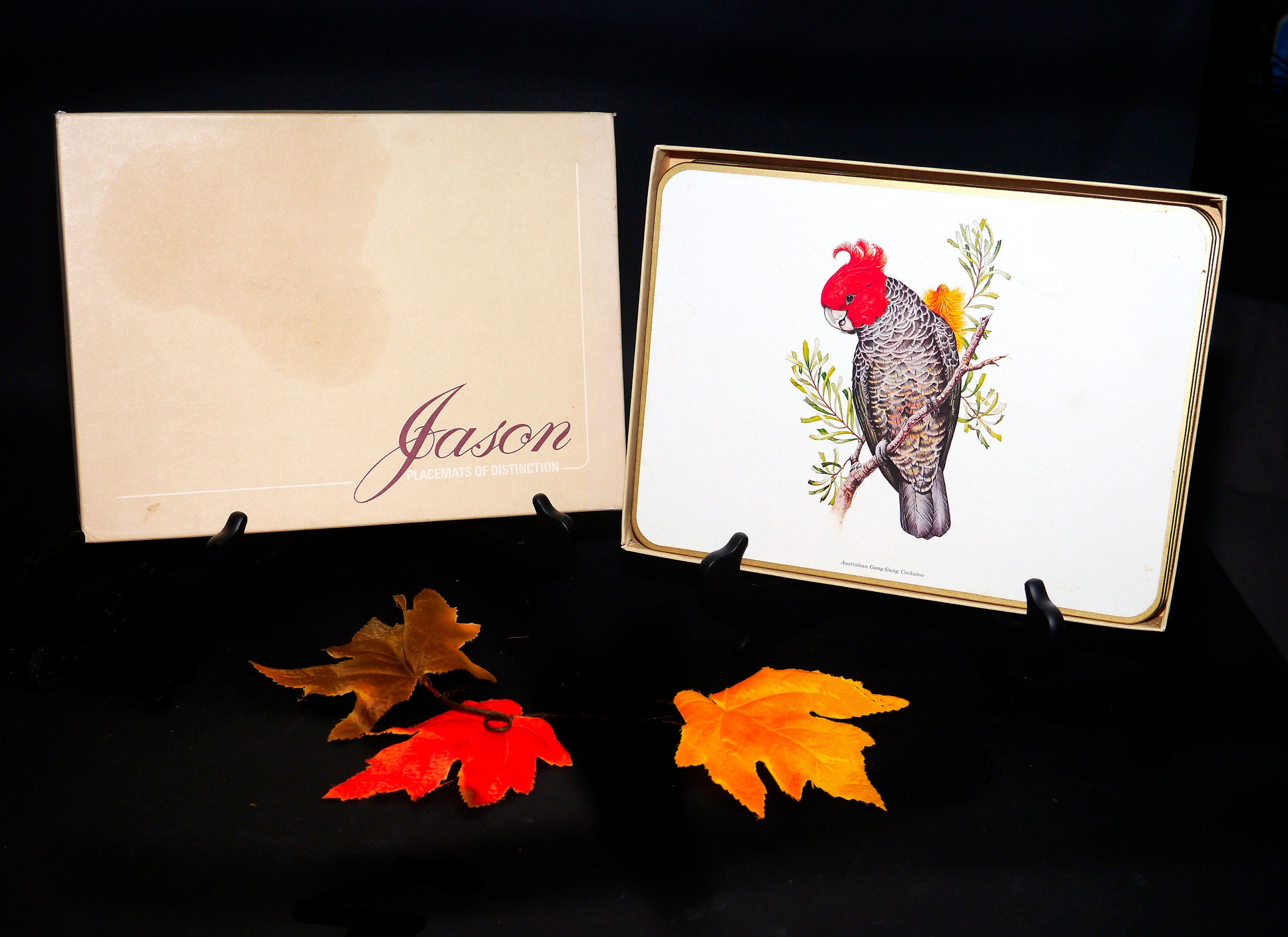 Six Birds of Oceania placemats with original box. Made in New Zealand. Acrylic with cork backs.