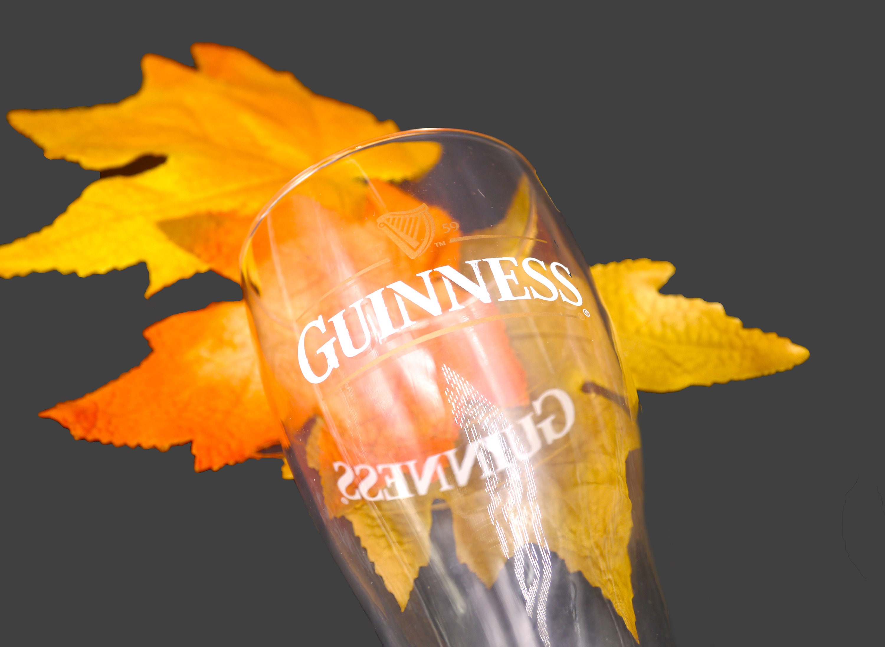 Guinness Toucan Christmas 2 Pack Pint Glasses