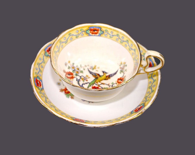 Antique Royal Albert Crown China Chelsea Bird | The Exotic Bird hand-painted tea set (cup with saucer) made in England. Flaws (see below).