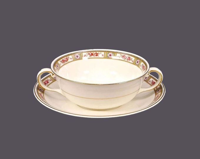 Antique Edwardian Age Johnson Brothers Ormsby cream soup | bouillon set. Pareek Ironstone made in England.