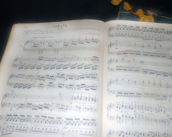 Antique (1894) Schirmer's Library of Musical Classics Beethoven Sonatas Pianoforte Solo hardcover book Volume 1. Sheet music.