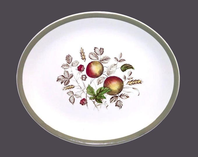 Alfred Meakin Hereford oval platter made in England. Fall fruit.