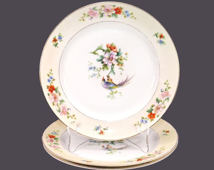 Three almost antique Heinrich Songbird salad plates made in Germany.