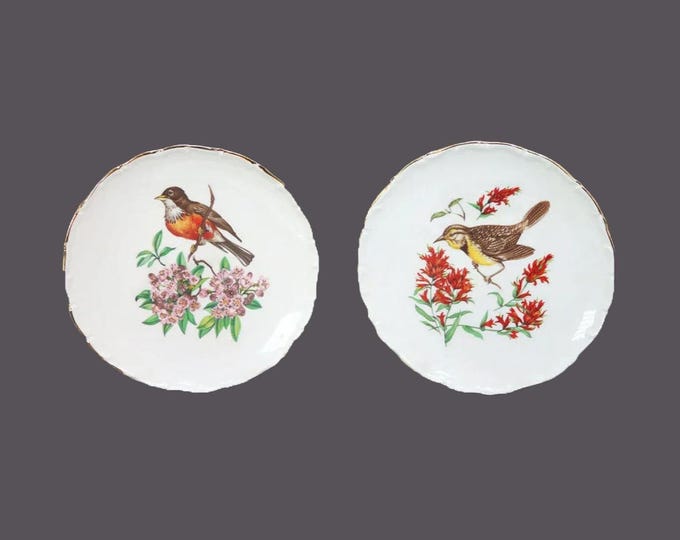 Pair of Schumann Arzberg SCH147 aviary series salad plates made in Germany.