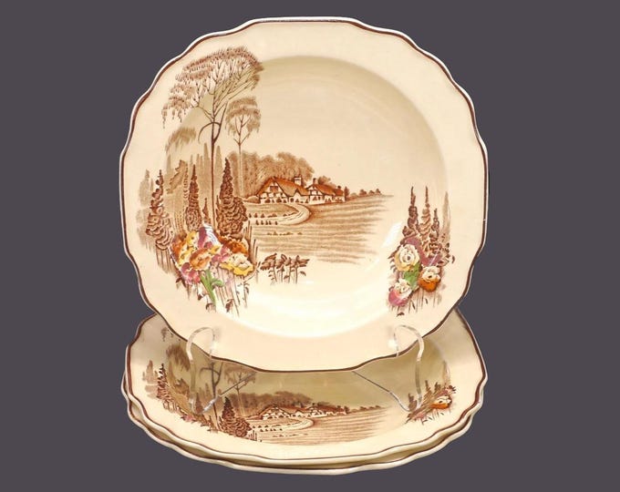 Three Myott Homeland square rimmed hand-decorated soup bowls made in England.