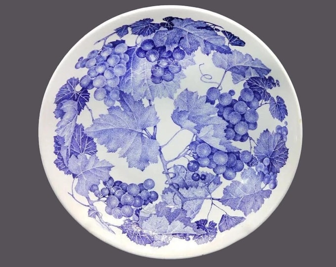 La Primula PRL12 pasta serving bowl made in Italy. Minor flaws (see below).