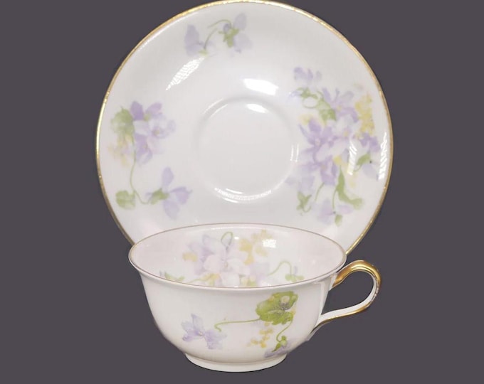 Charles Ahrenfeldt Limoges AHR1082 cup and saucer set made in France.