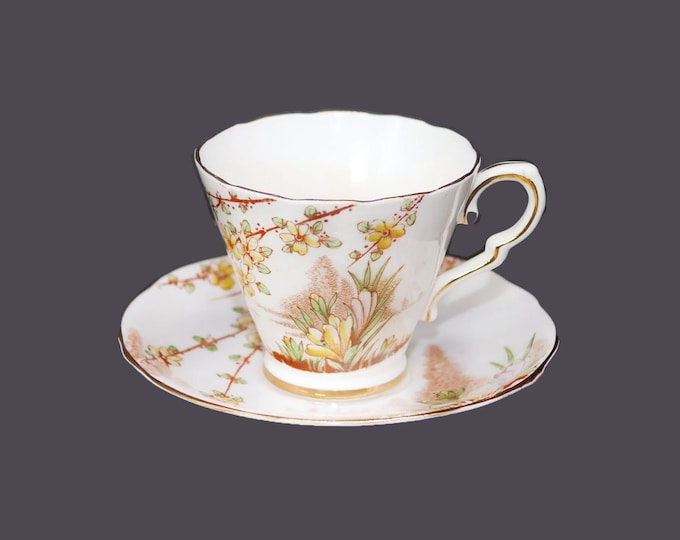 Gladstone China Crocus hand-painted cup and saucer set. Bone china made in England.