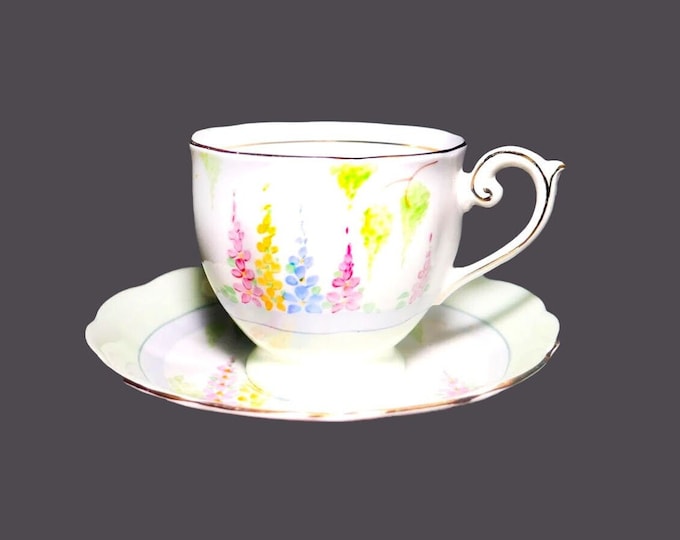 Bell China 4480 bone china cup and saucer set made in England. Delphiniums.