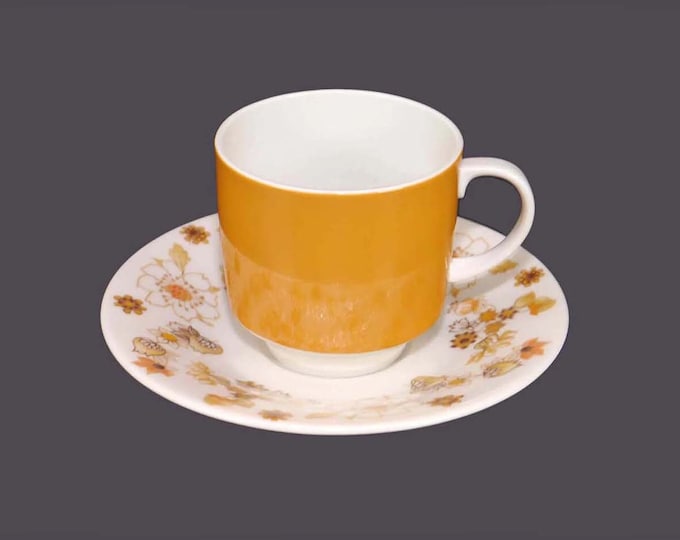 Royal Doulton Sundance TC1087 bone china cup and saucer set made in England.