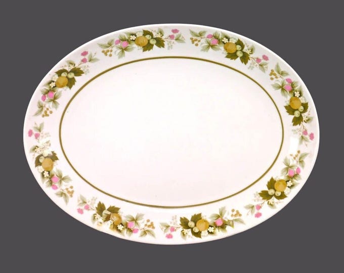 Mikasa Sumay 5741 oval meat or large vegetable serving platter made in Japan.