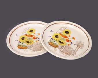 Pair of Johnson Brothers Charleston Garden bread plates. Table Plus ironstone made in England.