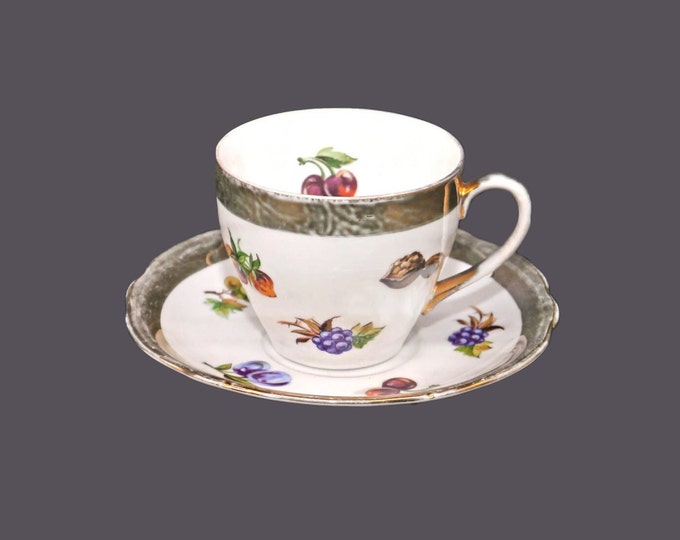Epiag | Springer EPI164 hand-painted cup and saucer set made in Czechoslovakia.
