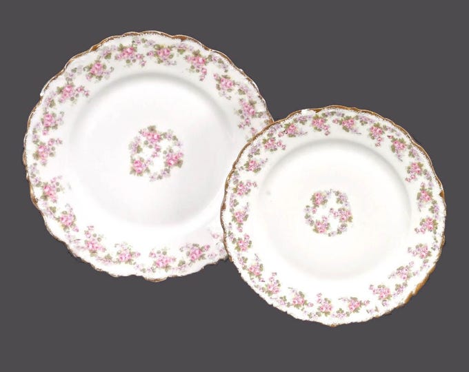 Vintage Bawo & Dotter Elite Works Limoges Bridal Wreath plates made France. Flaws. 2 plates.