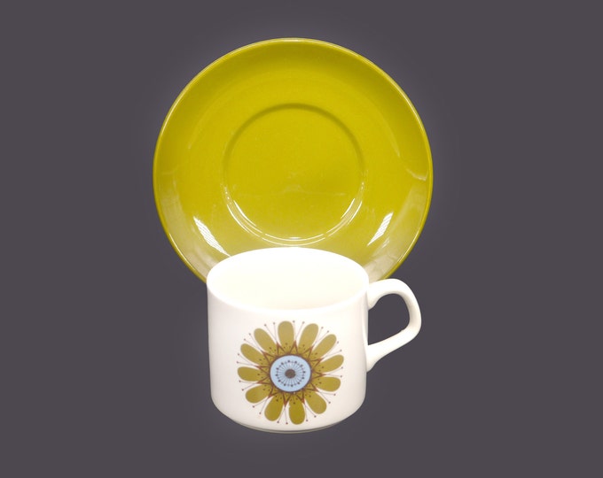 Retro J&G Meakin Galaxy cup and saucer set. Boho flower-power tableware made in England.