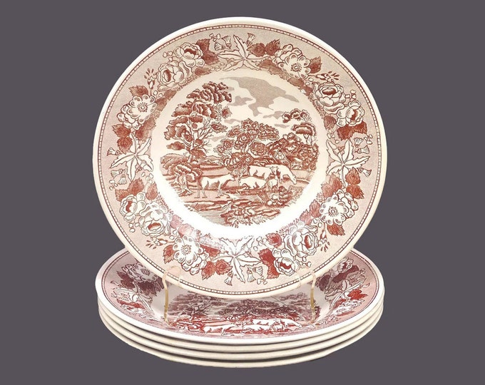 Five Fontebasso Swiss Landscape Brown transferware rimmed soup or individual pasta bowls made in Italy.