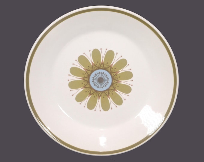 Retro J&G Meakin Galaxy dessert, cake, pie plate. Boho flower-power tableware made in England. Sold individually.
