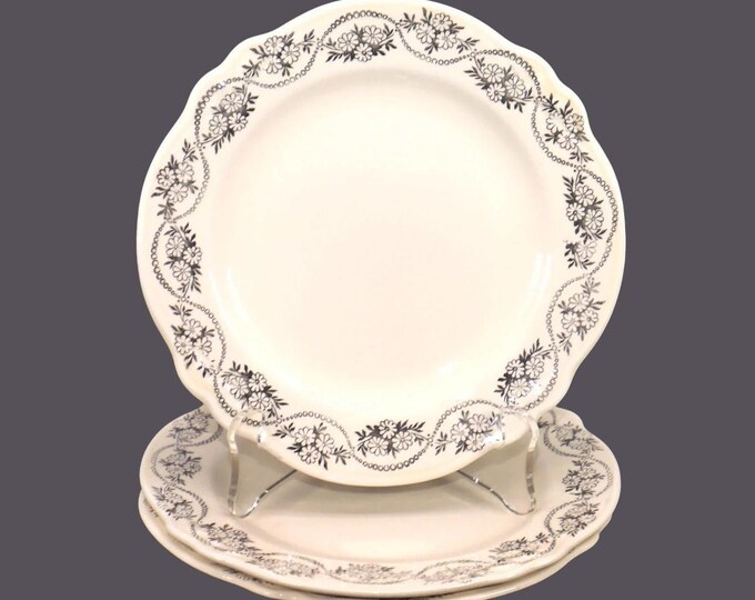 Three Homer Laughlin VR421 Century's Three Daisies bread plates. Virginia Rose ironstone made in USA.