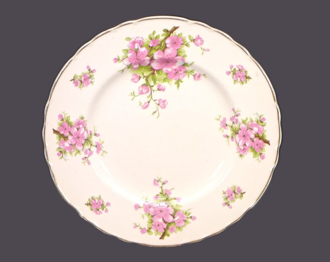 Vintage Royal Staffordshire Luncheon Plate: Pink Apple Blossoms, Gold Scalloped Edge