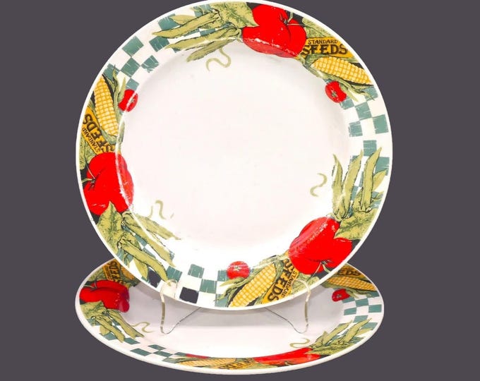 Pair of Tienshan Farmer's Market large stoneware dinner plates. Pattern wear (see below).