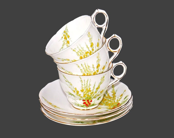 Three Royal Stafford Broom bone china cup and saucer sets made in England. Orphan saucers also available.