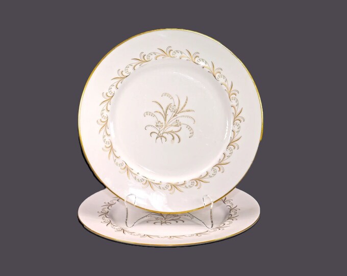 Pair of Paragon Bride's Bouquet | Paragon Chateau large dinner plates made in England.