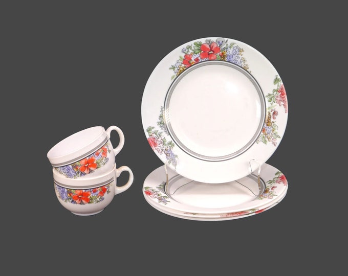 Arcopal glass tableware. Red, blue, yellow flowers, black and gray bands. Made in France