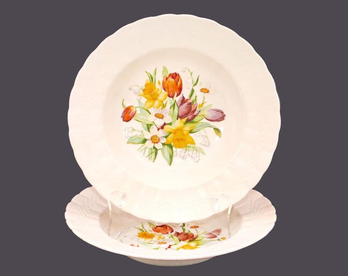 Pair of Simpsons Potters Providence 7747 rimmed soup bowls. Ambassador Ware ironstone made in England.