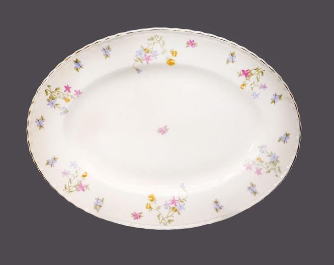 Myott Trouville oval platter made in England.