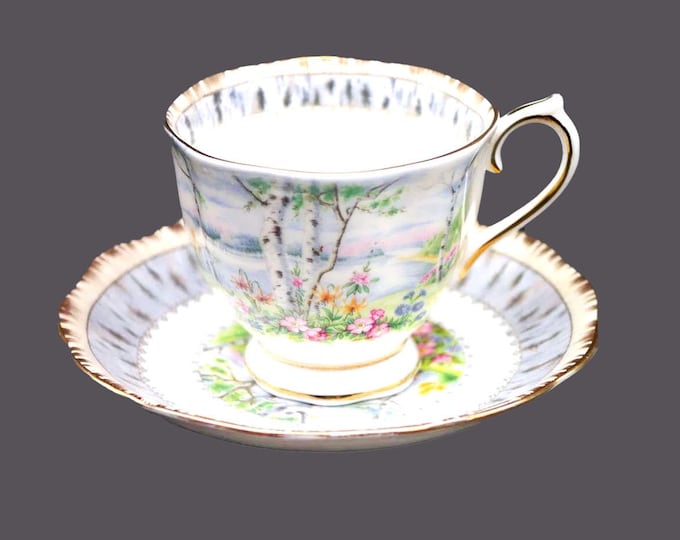Royal Albert Silver Birch bone china cup and saucer set made in England.