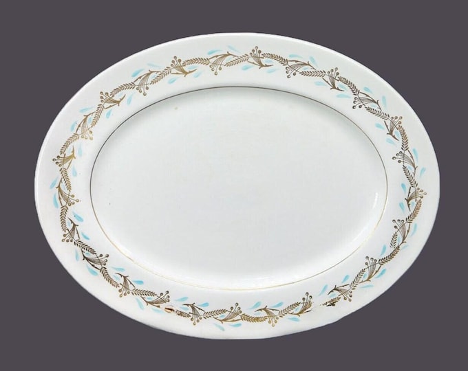 Myott Fanfare oval platter. China-Lyke ironstone made in England.