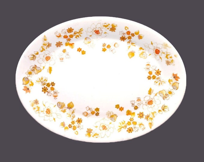 Royal Doulton Sundance TC1087 oval platter made in England.