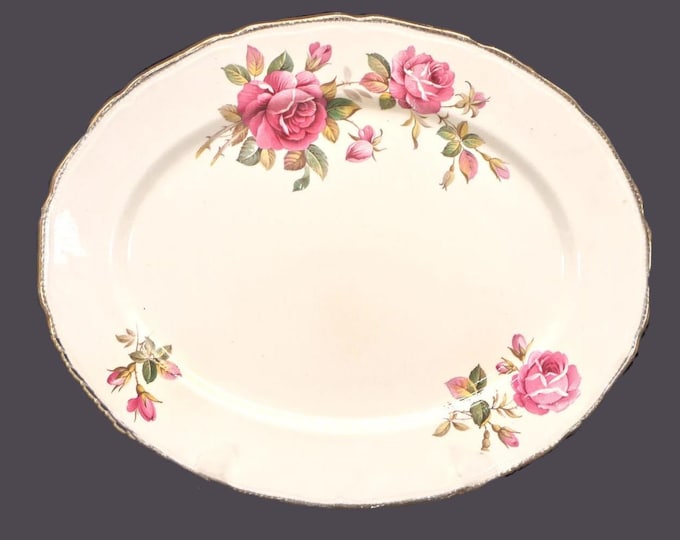 Royal Swan RSN1 oval meat serving platter made in England. Light browning (see below).