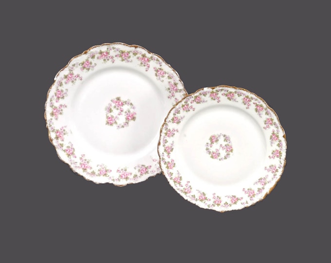 Pair of Bawo & Dotter Elite Works Limoges Bridal Wreath plates. One salad plate, one bread plate. Made in France. Flaws (see below).