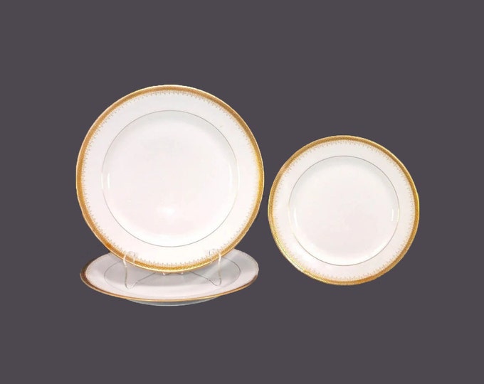 Antique Bawo & Dotter Elite Works Limoges BWD258 plate set made in France. Two dinner, 1 salad. Flaws (see below).