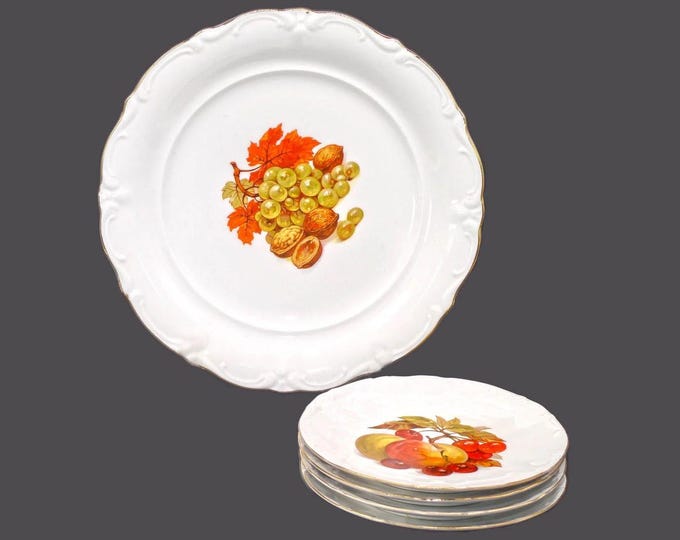 Vintage Bavarian Fruit Dessert Set: Winterling Platter, Bareuther Plates
