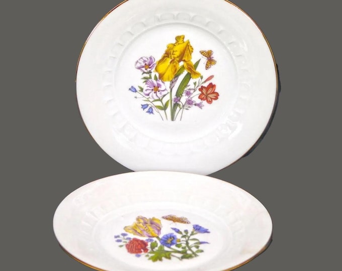 Vintage Josef Kuba Weisau JKW39 dessert plates. Florals, butterflies. Bavaria. 2 plates.