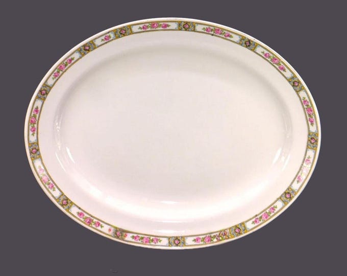 Antique Edwardian Age Alfred Meakin Clifton oval meat or turkey platter made in England.