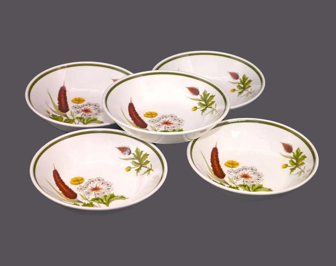 Five Johnson Brothers Brookside fruit nappies, dessert bowls made in England.