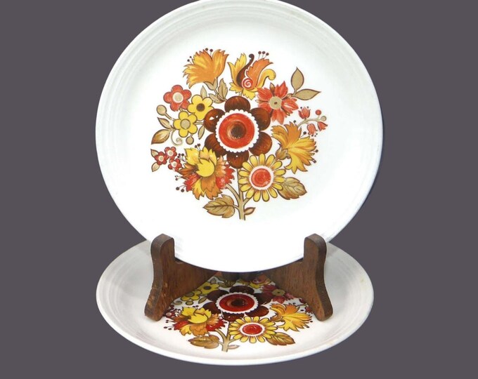 Pair of Myott Festival salad plates made in England.