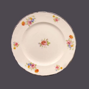 Vintage Alfred Meakin Dronfield-dinerbord gemaakt in Engeland.