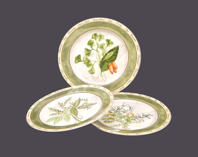 Three American Atelier Bouquet Garni 5011 stoneware salad plates. Three herb patterns.